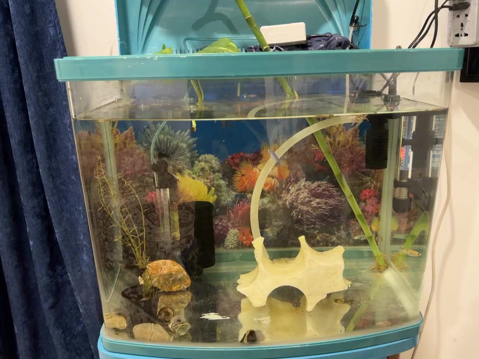 حوض سمج نظيف هو وغراضه ب 60 الف مكان خانقين


**إذا كنت صاحب هذا الإعلان وتريد حذفه لأي سبب، رجاءا أرسل رسالة إلى الدعم الفني**