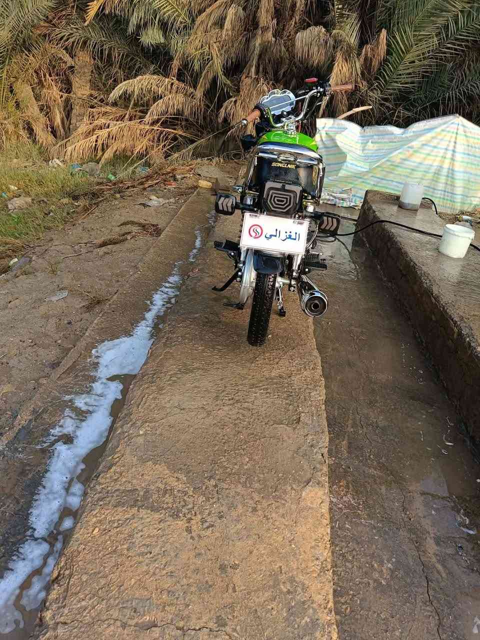 25 كفاله عامه وراق شرط الفحص والنضافه كدامك تفاحي
760وبيه مجال قليل *********** واتساب 
مكاني صدر الدغاره 
اخيك مو شراي لاتراسل
