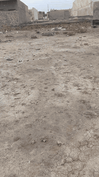 سبع قصور • شارع ابو احمد • ٢٠٠م