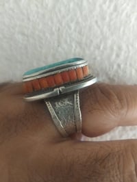 فيروزي مطعم بمرجان     السعر 300  07883233489