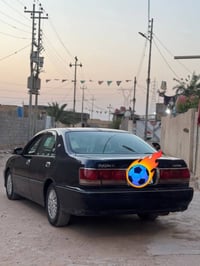 كراون • نيلي • البصره القرنه
