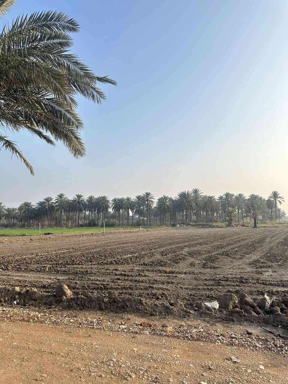 � أراضٍ للبيع مباشرة من المالك
❌ بدون وسيط

💰تبدء من 25 مليون
⚡ استلام فوري
🔌 خدمات كاملة
💳 نقد وأقساط

📍 حلّة / النيل – الوردية – الصياحية
📐 500م | 1000م | دونم

📞 ***********
📞 ***********
