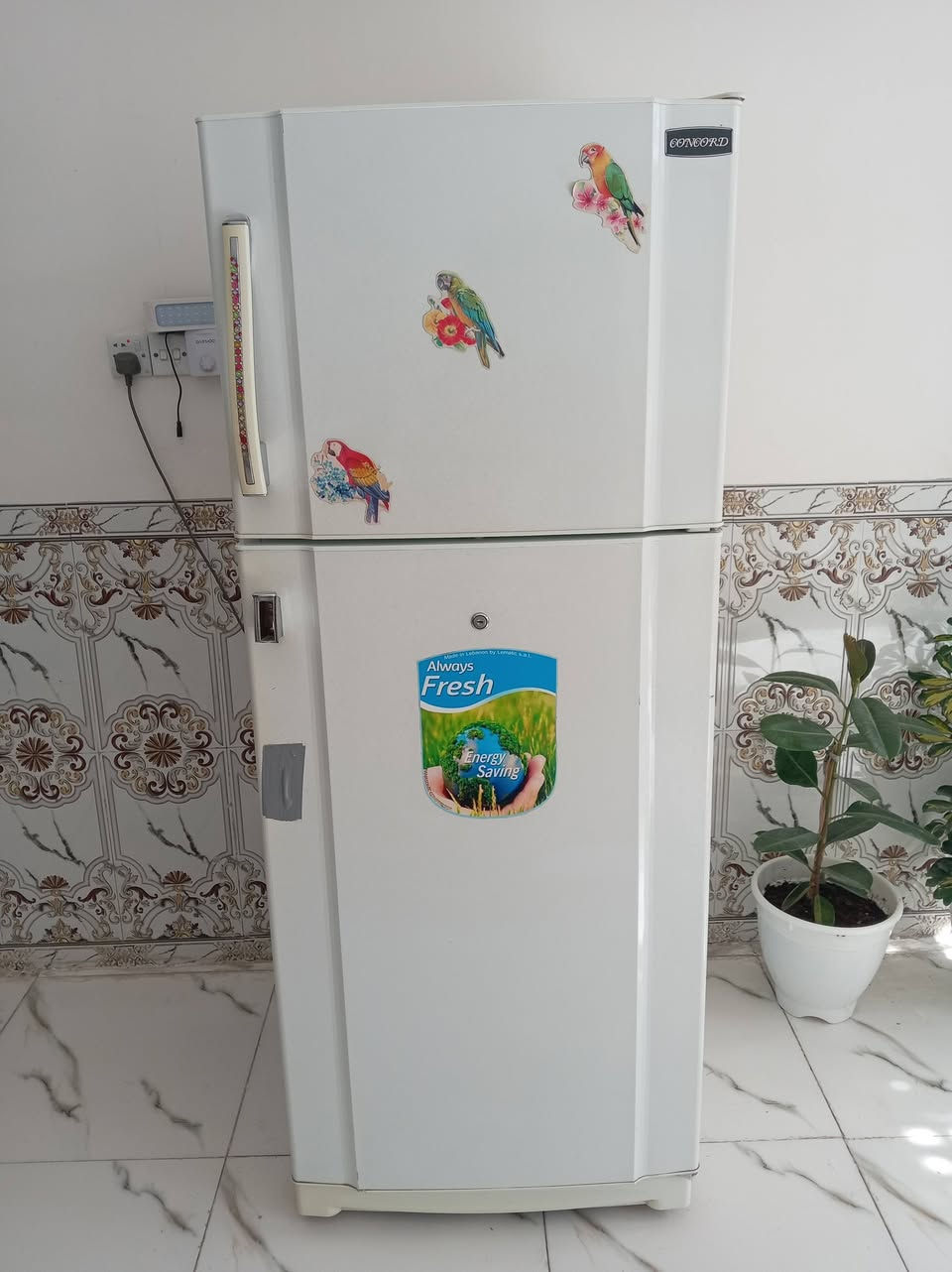 كون كورد شرط ***********
