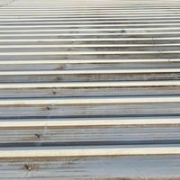 جينكو • ١٥ وحدة • طول ٦م