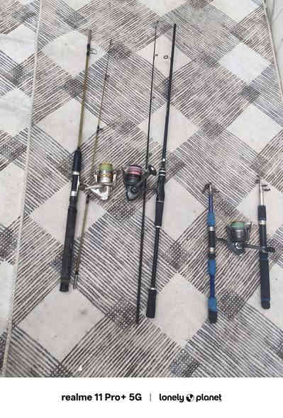 السلام عليكم.  متوفر للبيع اسبنرات صيد. ياباني. وامزون
عصى جيلاتين برتقالي صلي طول 240.  مكينه 4000
عصى جيلاتين شفاف  بالة طول 180. مكينه 3000
عصى كاربون. اسود بالة طول 210. مكينه 3000
عصى سلايت بترة ياباني لون ازرق طول 180 مكينة 3000 
عصى سلايت بترة ياباني بدون مكينه.   

عنوان غماس 👈السوك. قرب حسينية حجي صاحب
الجاد بالشراء يتصل ويدلل
هاتف ***********.
ابـــو احمد الاســـدي
