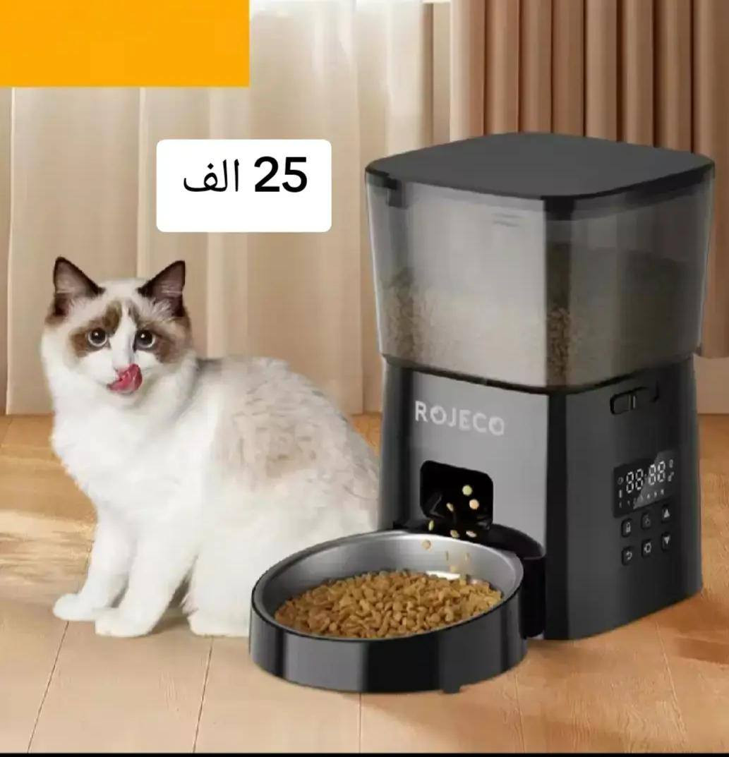 اجهزة كهربائية والكترونية من شي ان وامزون الاسعار مكتوبة على الصور والتوصيل مجاني


**إذا كنت صاحب هذا الإعلان وتريد حذفه لأي سبب، رجاءا أرسل رسالة إلى الدعم الفني**