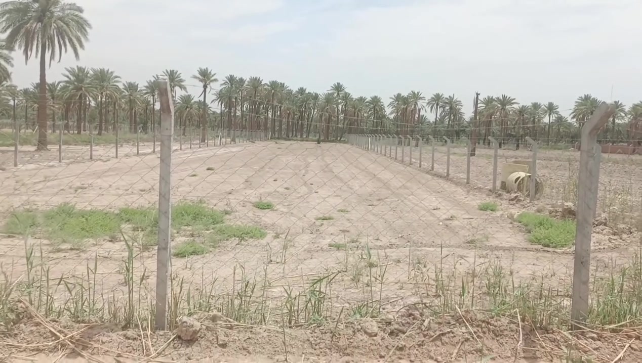 يعلن مكتب الرحمن للعقار حله شارع 100. عن وجود 
دونم واحد طابو زراعي ملك صرف 
الوجها 20 والنزال 125
مسيج بيارسي بالكامل 
خدمات موجوده 
عرض الشارع 10
يصير سكن يصير مزرعه او استثمار 
مكان كلش مرتب 
العنوان حله شارع الرابط بين شارع 100 والشارع بزل حجي علي 

السعر والتفاصيل أكثر خاص او الاتصال على الارقام او المراجعه مكتب الرحمن حله شارع 100 
#ملاحظة# لمن يرغب في
 عرض عقار او ارضه طابو صرف او طابو زراعي عليه مراسلتنا او الإتصال
***********
***********
