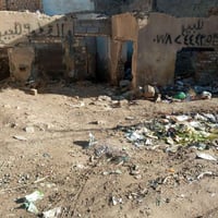 بغداد سبع قصور • ١٠٠م مربع • زراعي