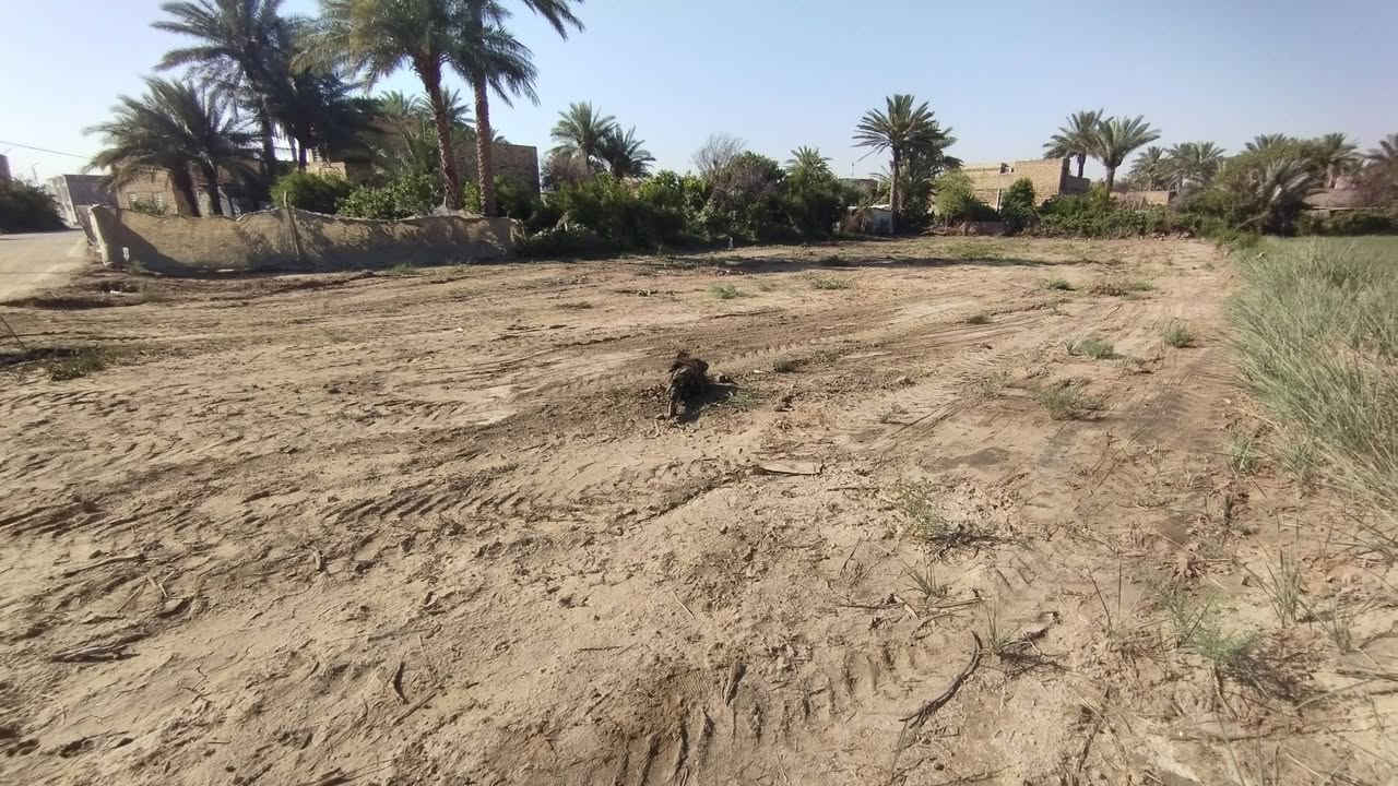 السلام عليكم 
قطعة ارض للبيع المساحه ١٢٠٠ متر  الواجه ٢٤ والنزال ٥٠
مشمولة بالطابو الصرف
خدمات كاملة (ماء كهرباء تبليط) 
قطعة 24 سند 25 
المكان، طريق السنية في منطقة امطباشي 
في مجمع القمة الملكيه اول قطعة بالمجمع 
اقل قطعه ممكن نبيعها ٦٠٠ متر 
للاستفسار ‏‪***********
