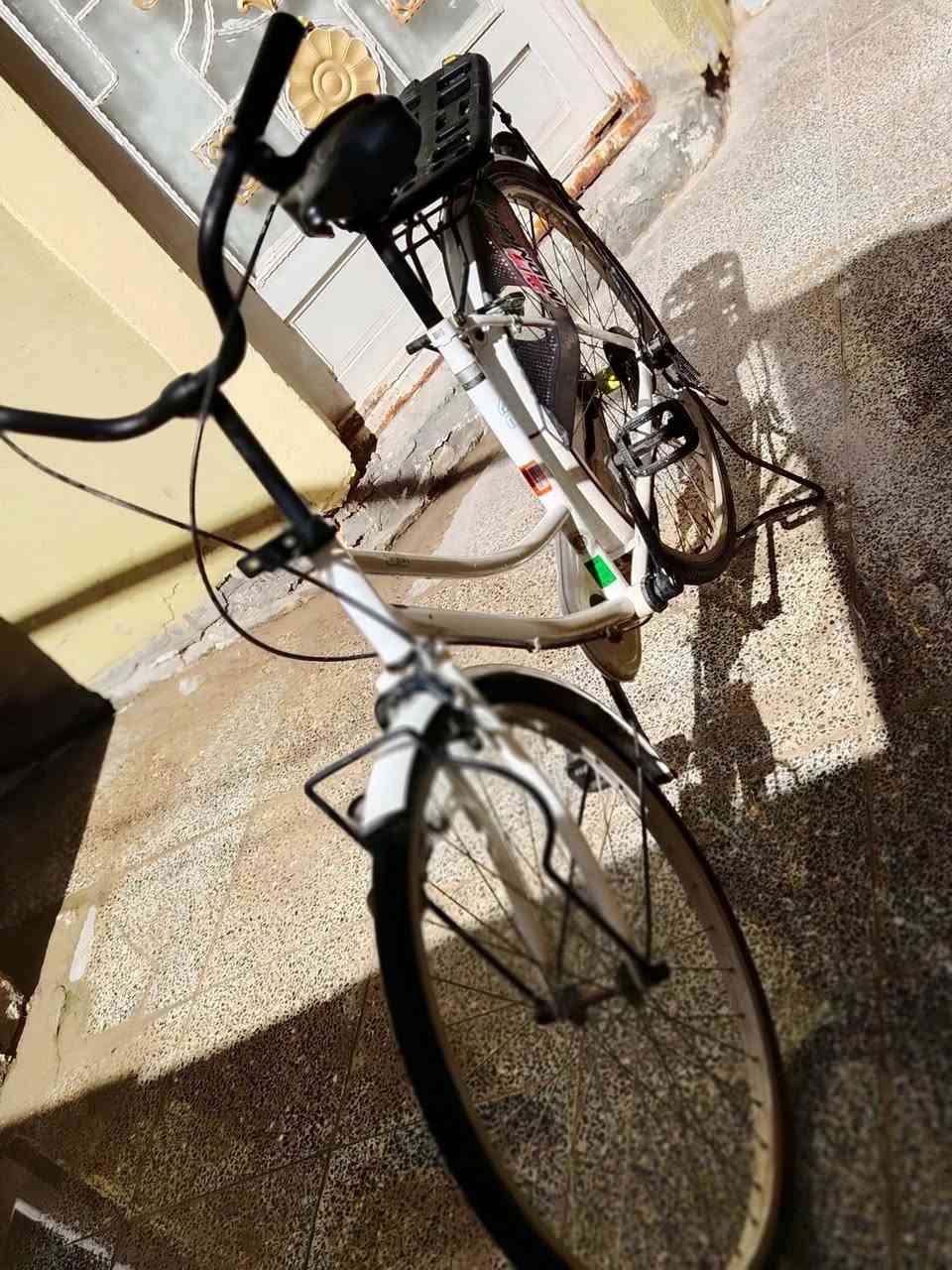 للبيع مديل 2022 كفاله عامه،  السعر 130


**إذا كنت صاحب هذا الإعلان وتريد حذفه لأي سبب، رجاءا أرسل رسالة إلى الدعم الفني**