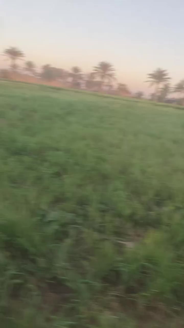 السلام عليكم اربعين دونم باسم شخص واحد كافه الخدمات ماء نهر وماء إساله وكهرباء وتبليط  بين الجهتين كما موضح في الصوره وتحتوي على بحيره. الموقع ورديه خارج الطابه للاستفسار اكثر الاتصال على الرقم ***********
