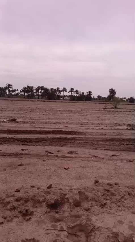 توفرت دوانم في منطقة الزنبرانيه عرب جبور قرب قطع مجلس قضاء الاعلى كافه الخدمات متوفره سعر مناسب جداً 
للتواصل خاص او الاتصال على الرقم 
***********.
