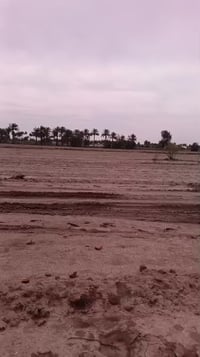 توفرت دوانم في منطقة الزنبرانيه عرب جبور قرب قطع مجلس قضاء الاعلى كافه...