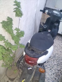 فله رمبه • مكفول • مكينه ناعمه