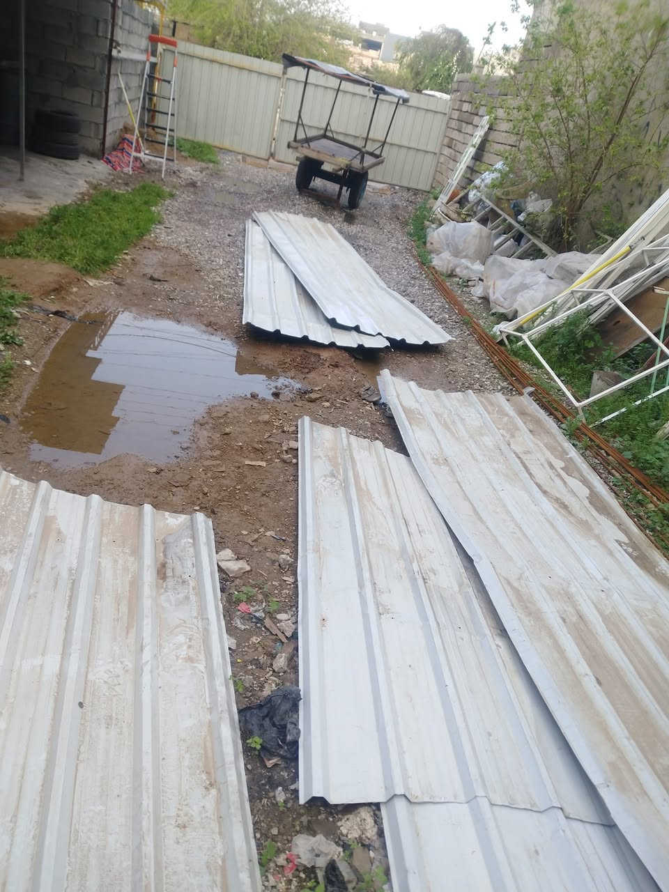 جينكو نظيف للبيع اكو ا٤ أمتار واكو ٣ أمتار وأكثر للاستفسار الاتصال على الرقم ***********
