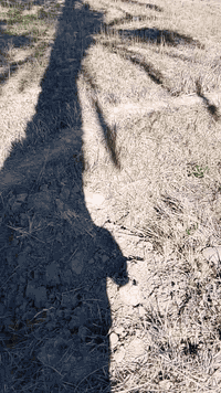 الفيادة • أرض زراعية • ٤ ونص دونم