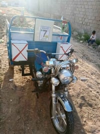 ستوتة • موديل 2019 • أوراق اصولي