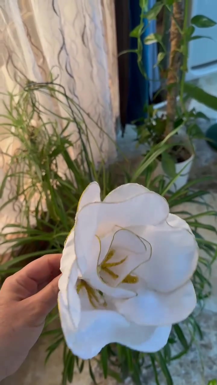 اللون وشكل الوردة حسب طلب زبونتي الحلوة 😍🌺وردات لازم انطيهم حقهم ب النشر 
انتظروا بوست البوفيه القادم بأذن الله


**إذا كنت صاحب هذا الإعلان وتريد حذفه لأي سبب، رجاءا أرسل رسالة إلى الدعم الفني**