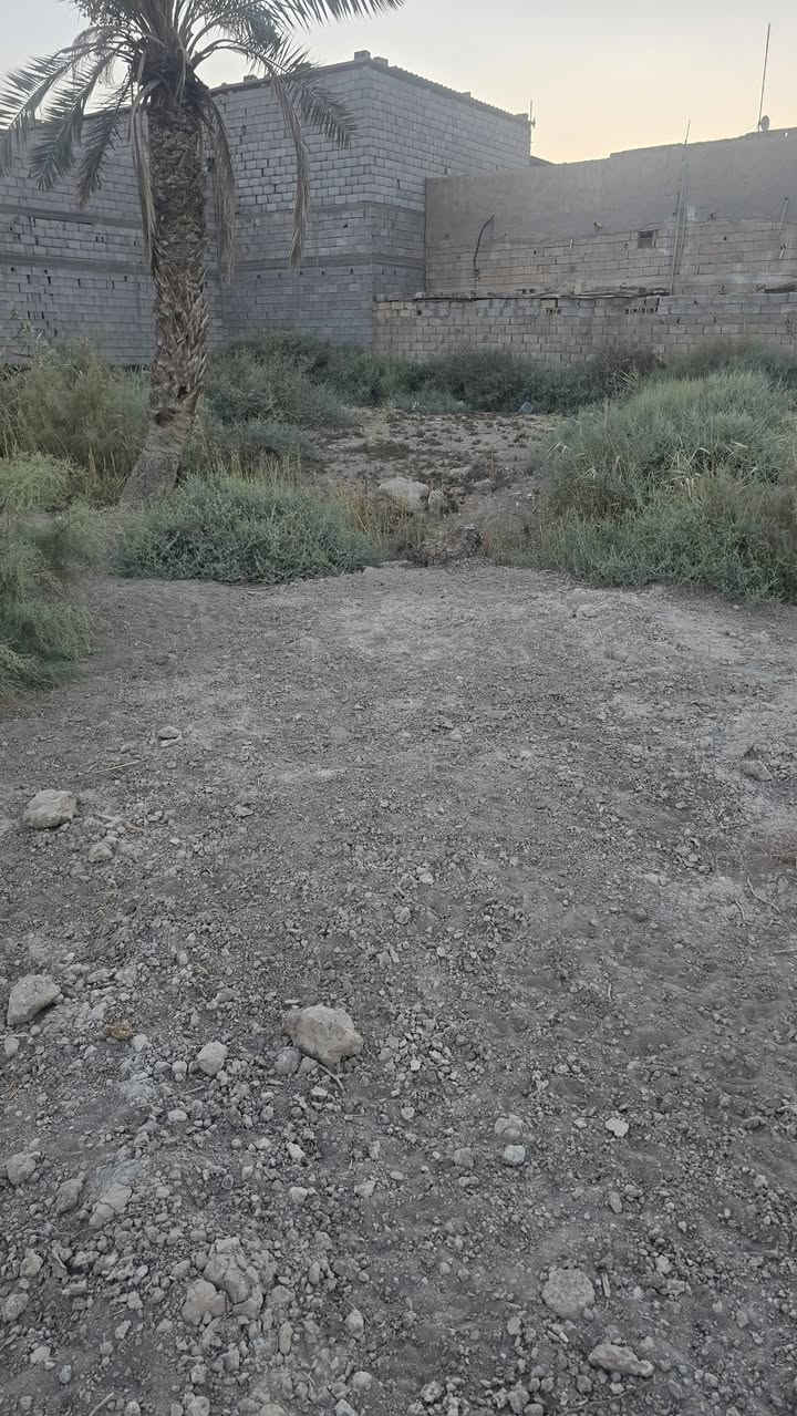 قطعه أرض للبيع مساحة 525متر طابو ملك صرف عرصه ليس زراعي  على شط فرع من شط العرب العنوان بصره أبي الخصيب منطقه باب العريض قريب على سوك جبير سعر جدا مناسب 38مليون ملحضه عرض شارع مال قطعه متر دوست رجل 🚶‍♂️ الشراي يتصل ***********
