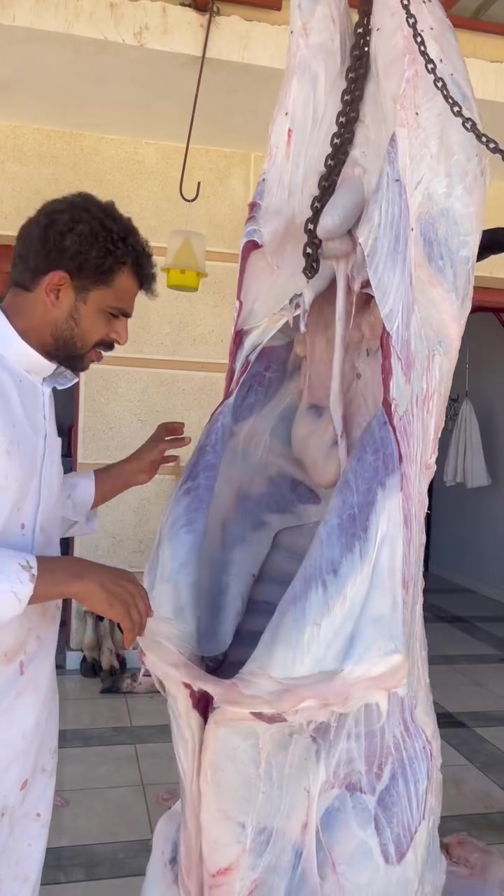 بسم الله مشاء الله صلي علي النبي ###.         يارب سترك وعفوك ورضاك    جزاره ابو صدام اللحم الأصلي رقم 1🥩❤️‍🔥🦌بلا منافس  وحد الله الساحل الشمالي ك 43امام قريه الصفا @ت-01277912220


**إذا كنت صاحب هذا الإعلان وتريد حذفه لأي سبب، رجاءا أرسل رسالة إلى الدعم الفني**