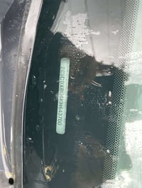 SXT • ٢٠١٩ • رقم دهوك