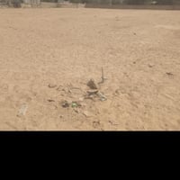 ١٠٠٠م • طريق ياعلي • بيع مستعجل