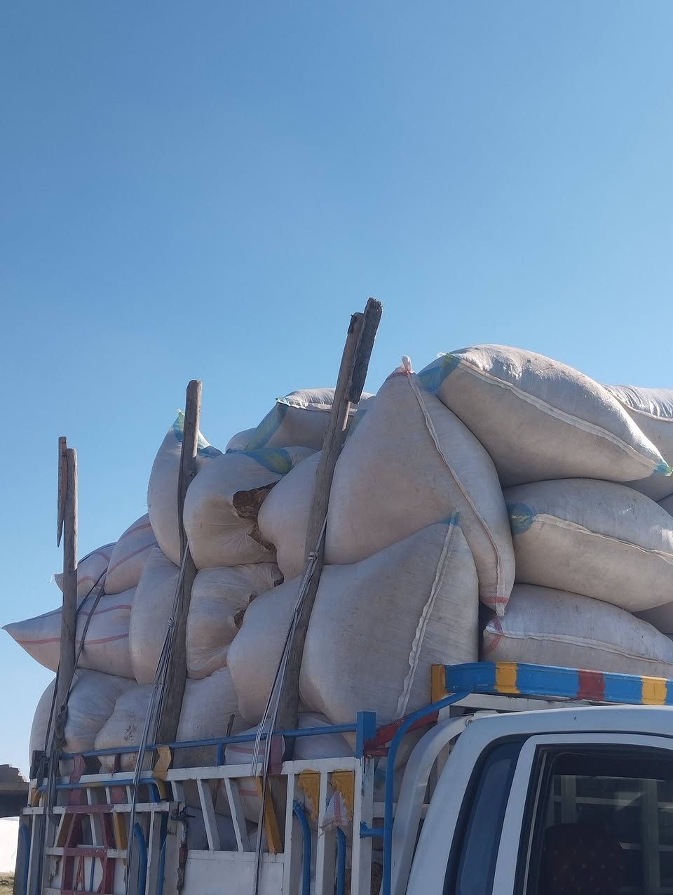 السلام عليكم
تبن للبيع شلفان ارتفاع 150وعرض 90ودكاك فول تبن شرط نضيف مال السنة  تبن حنطه موشعير    وشرط الدكاك  السعر الشليف الواحد بــــ( 5500) واصل  للبيت 
  الاستفسار على الرقم  ***********
