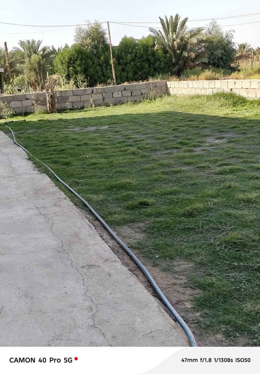 سلام عليكم ارض زراعيه مع نخل واشجار وثلاثه ابيوت واحد كامل واثنين هياكل مساحه الارض دونم ونص العنوان قريه الساده الرفيشات قرب البو سميج التواصل ع رقم ***********هاذه رقم غير متواجد ع الصفحه

