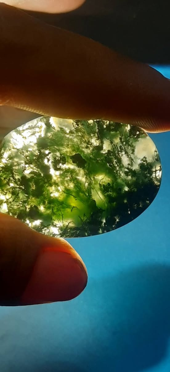 حجر عقيق شجري حجم راهي يتعمل قلاده أو ميداليات سبحان من ابدع


**إذا كنت صاحب هذا الإعلان وتريد حذفه لأي سبب، رجاءا أرسل رسالة إلى الدعم الفني**