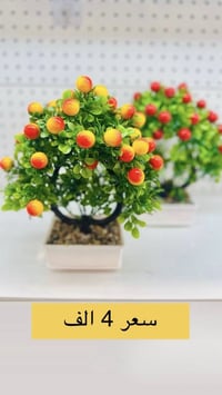 محل مواد منزلية • الناصرية • توصيل