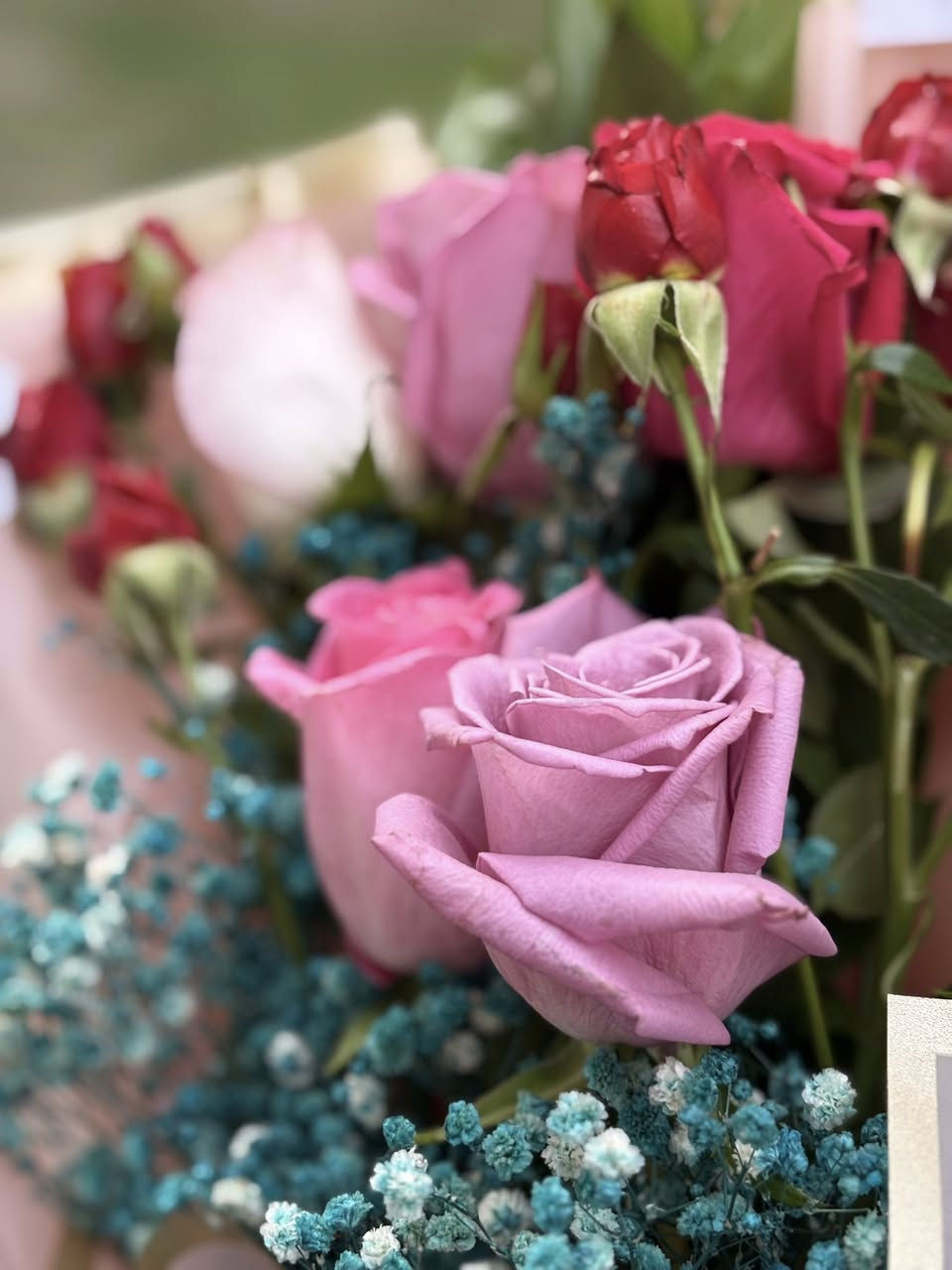 #_لورد_لطبيعي_وجمال_اوردر_عيد_الحب_
#كله_متوفر_بس_يم_فضه_flower 🌸❤️#


**إذا كنت صاحب هذا الإعلان وتريد حذفه لأي سبب، رجاءا أرسل رسالة إلى الدعم الفني**