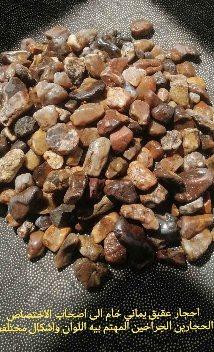 اصحاب الاختصاص الحجارين الجراخين الي ع باب الله المهتم يراسلني ويدلل در نجفي بالذمه خام وحسيني وعقيق ملاكط ملون


**إذا كنت صاحب هذا الإعلان وتريد حذفه لأي سبب، رجاءا أرسل رسالة إلى الدعم الفني**