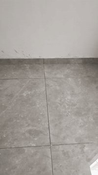 خلفه بورسلان شغل درجه اولى
البصرة ***********
