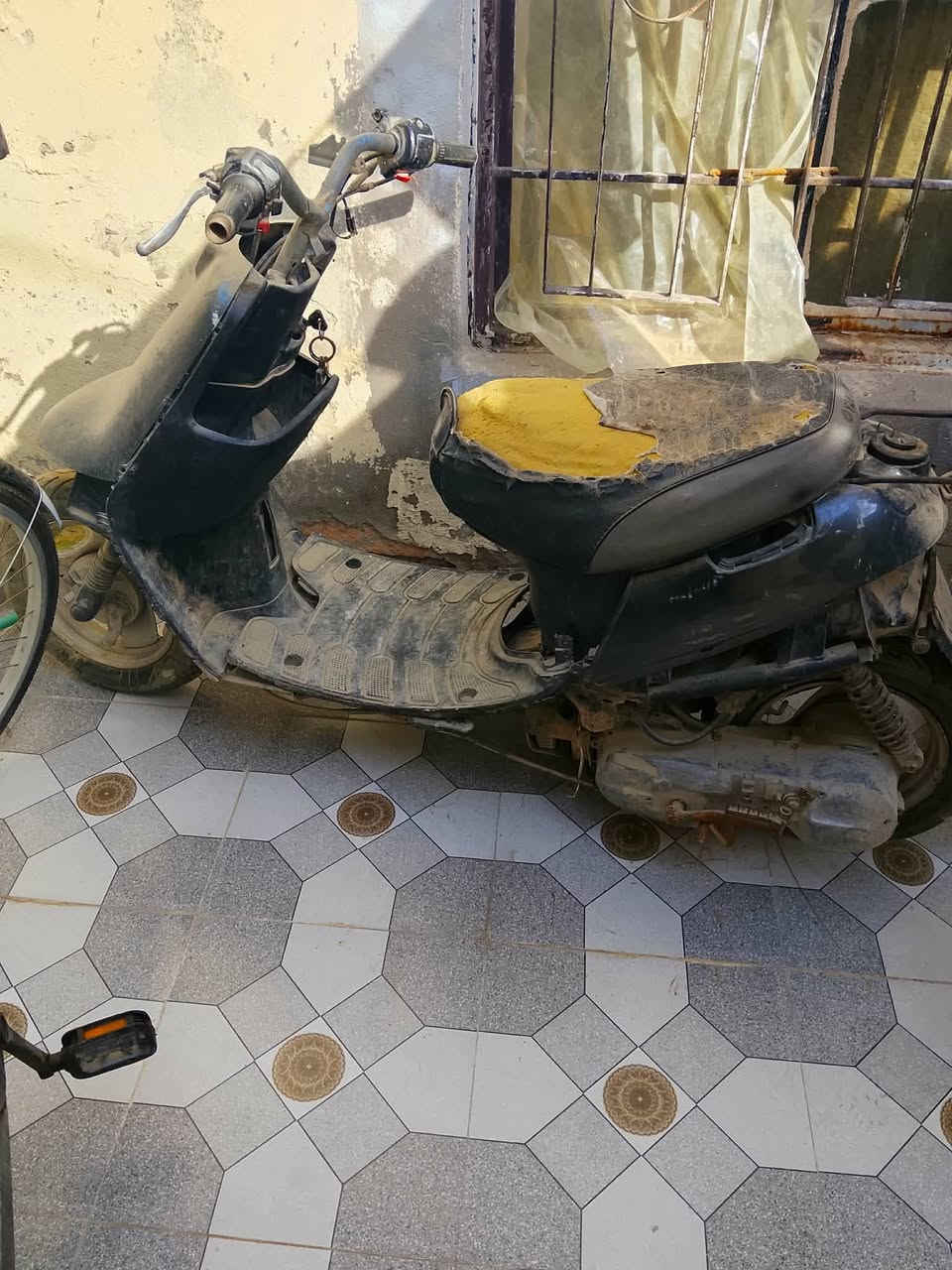 جوم حديد البيع البريد يراسلني على خاص


**إذا كنت صاحب هذا الإعلان وتريد حذفه لأي سبب، رجاءا أرسل رسالة إلى الدعم الفني**