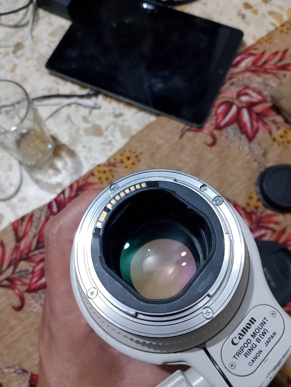 عدسه كانون 70_200 f2,8 اصدار اول نظيفه جدا مع كامل ملحقاتها سعر 800 بيهه مجال بسيط مكاني ديالى توصيل متوفر


**إذا كنت صاحب هذا الإعلان وتريد حذفه لأي سبب، رجاءا أرسل رسالة إلى الدعم الفني**