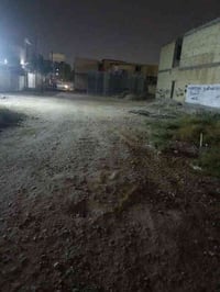 شعب سریدات القديمه • ٥٠م • سند ٢٥ ملك