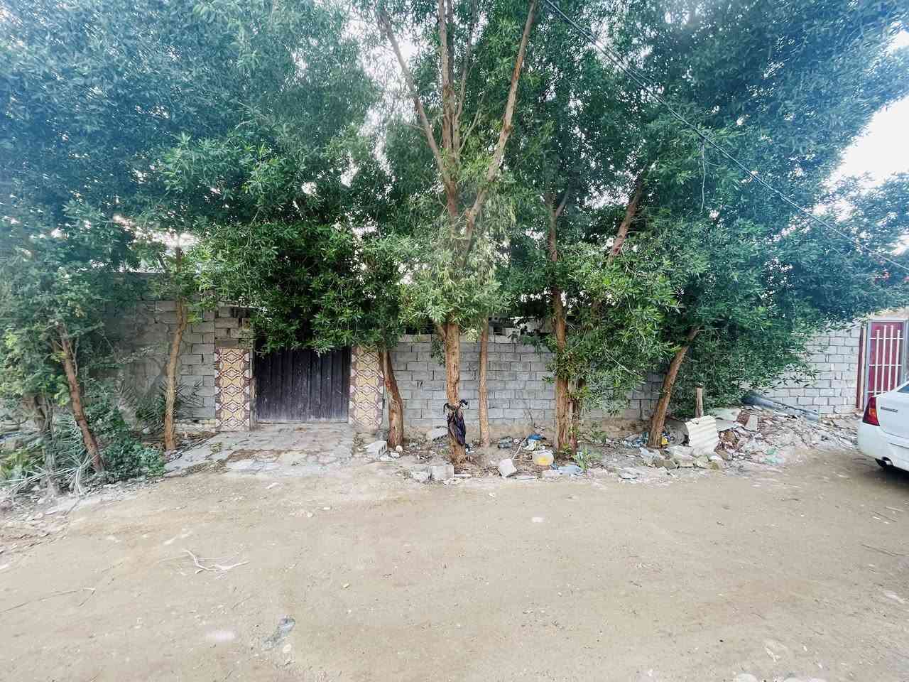 السلام عليكم دار زراعي للبيع مشمول بقرار 320 مبني قبل القرار المساحه 155متر يحتوي على غرفتين نوم صاله مطبخ البناء بلوك السقف سندويج قطرت ماي مايعبر مضبوط كامل ماي كهرباء العنوان الكوفه البراكيه خلف جامع الخزاعل السعر 12مليون بي مجال للاستفسار ***********
