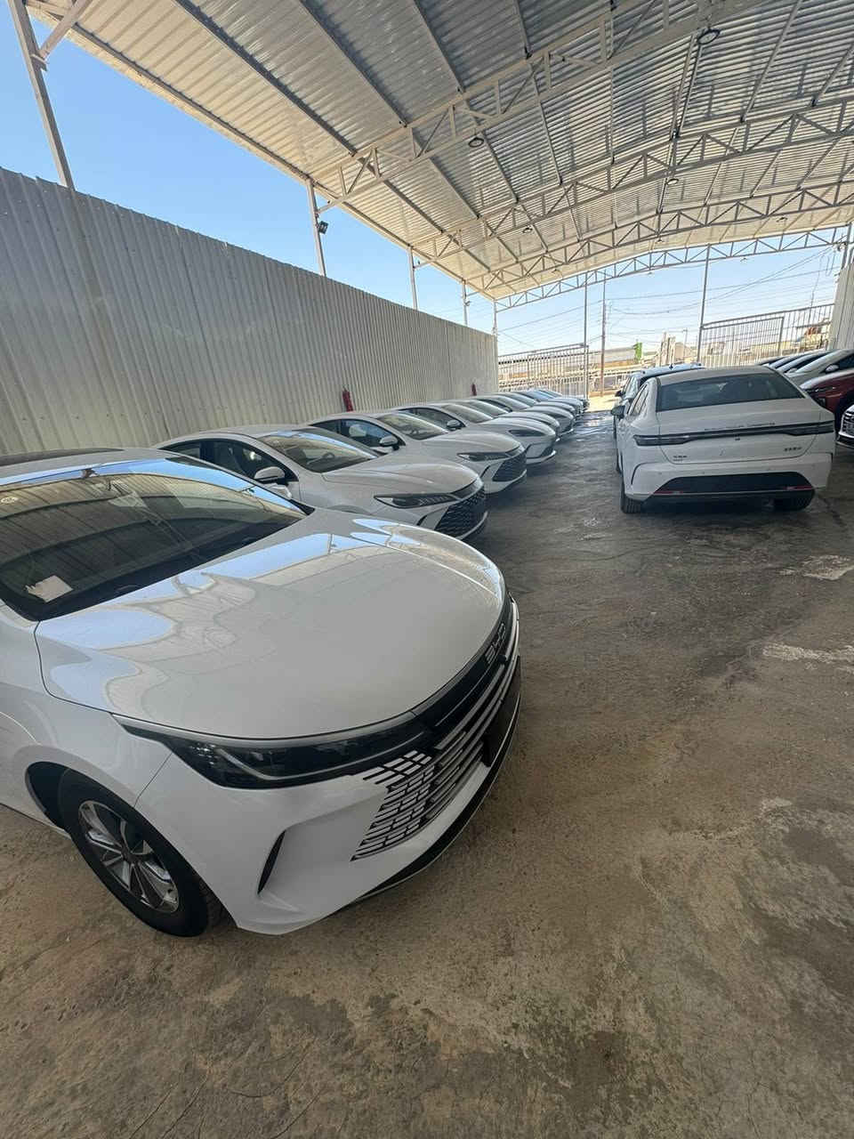 بشرى سارة📢📢
إلى جميع زبائننا الكرام في النجف الأشرف اشتري راحتك وكون باأمان سيارتك ويانه صارت مضمونه 
✅ اطمئن مع سيارات BYD... ضمان موثوق وخدمات ما بعد البيع تمنحك راحة البال في كل رحلة ⬅️ ضمان حقيقي مع قطع غيار اصليه  محرك مع بطارية  مدة سنتين ⚙️🔧 
نعلن عن وصول سيارات byd
▫️ سيل فايف 
▫️ جن بلس
 مع ضمان الوكالةعلما ان العدد محدود جدا لتواصل والحجز والاستفسار 
على الرقم 
☎️ *********** وتساب
