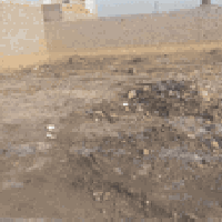 ارض زراعي • ناحية السديناويه • ٢٠٠م