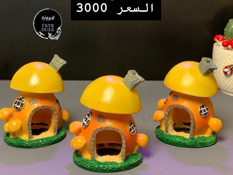 ✨ جديد وحصرياً في بيج فيروزة ✨

وصلتنا مجموعة مميزة وجميلة من الأكواخ بأشكال متنوعة تجنن 😍  
مناسبة للزينة داخل أحواض الأسماك، التيراريوم، أو حتى كديكور أنيق يضيف لمسة حلوة 🌿🐠

📏 القياسات والأسعار موضحة داخل الصور  
🚚 توصيل متوفر لجميع المحافظات  

لا يفوتكم الجمال ✨  

#فيروزة #اكواخ_زينة #احواض_اسماك #ديكور_منزلي #تيراريوم #زينة_احواض #سمك_زينة #بغداد #العراق #ديكور #افكار_منزلية #نباتات #اكسبلور_فولو_ي_حلو🔥😴


**إذا كنت صاحب هذا الإعلان وتريد حذفه لأي سبب، رجاءا أرسل رسالة إلى الدعم الفني**