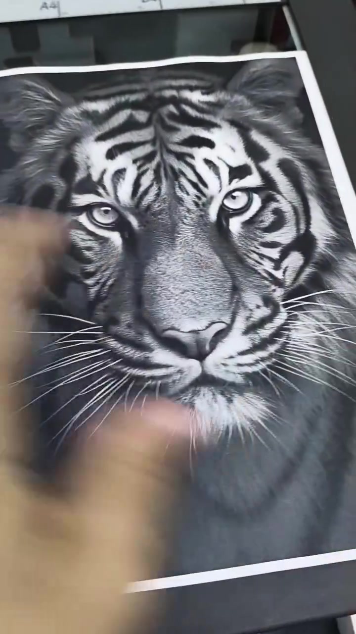 تم التسليم اليوم بفضل الله ماكينة Ricoh MP 2555 📦✅
ماكينة أبيض وأسود قوية جدًا، وتعتبر من أفضل الماكينات في فئتها، بعداد ممتاز وحالة مميزة.
✔️ مع الماكينة:
✅ كابل باور
✅ كابل نتورك
✅ ضمان 6 أشهر أو 10,000 ورقة (أيهما أقرب)
✅ خدمة ما بعد البيع
✅ دعم فني وصيانة وقطع غيار أصلية
نسأل الله أن يبارك لصاحب النصيب، وأن يجعلها فاتحة خير ورزق عليه. 🤲
📞 للتواصل:
010 39080758 
متاح جميع موديلات ريكو متاحة حسب الاستخدام، مع توافر الأحبار وقطع الغيار، وخدمة ما بعد البيع والضمان، وخدمة الصيانة، ودعم فني مميز.✨
ــــــــــــــــــــــــــــــــــــــــــــــــــــــــــــــــــــــــــــــــــــ
#إيجي_كوبي #EGYCOPY #Ricoh #Ricoh2555 #ماكينات_تصوير #طباعة #تصوير_مستندات #مكاتب #شركات


**إذا كنت صاحب هذا الإعلان وتريد حذفه لأي سبب، رجاءا أرسل رسالة إلى الدعم الفني**