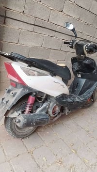 ثعلب • مجفته • جديد