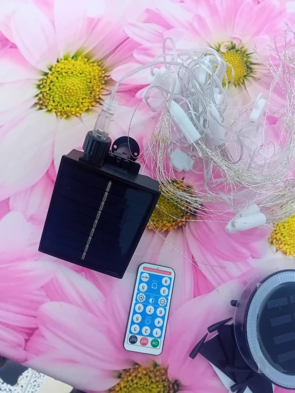 جماعت التخيم احسن ما تاخذوهن ٥٠ الف
تعالوا هنا انارة عدد ٢ على طاقة شمسية
ونشرات عدد ٢ وحدة على بطارية
وحدة على طاقة شمسية 
كلهن ٢٠ وتوصيل عليا @إشارة


**إذا كنت صاحب هذا الإعلان وتريد حذفه لأي سبب، رجاءا أرسل رسالة إلى الدعم الفني**