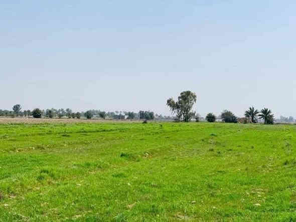 يوجد دوانم طابو زراعي بأسعار مناسبه في منطقة الشيخ عامر  على طابو الفلوجه 

الاستفسار اكثر اتصل على الرقم ‭***********
