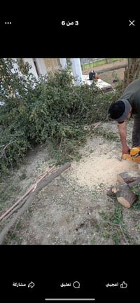 موطور كص جاهز اي شجره ماتحتاجهه اني اجيك وبلاش 07893864189