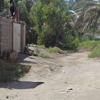 بيت هيكل • ٢٠٠م • طابو زراعي