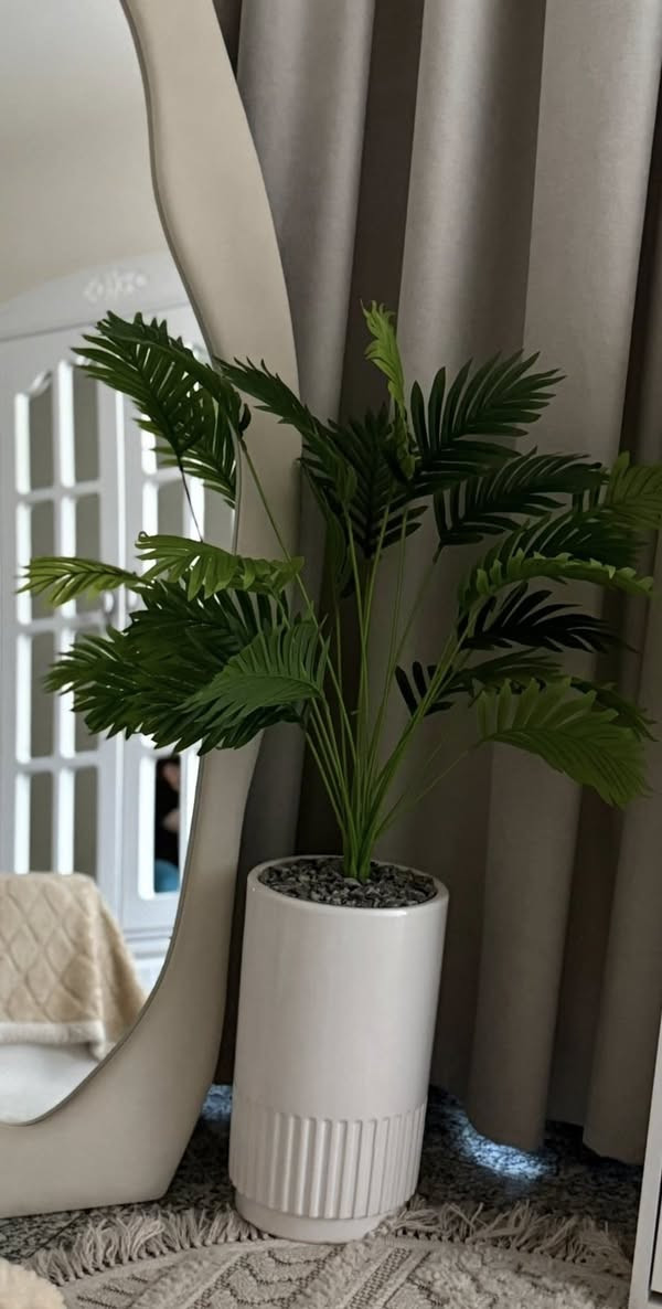 كلمن وسعرة


**إذا كنت صاحب هذا الإعلان وتريد حذفه لأي سبب، رجاءا أرسل رسالة إلى الدعم الفني**