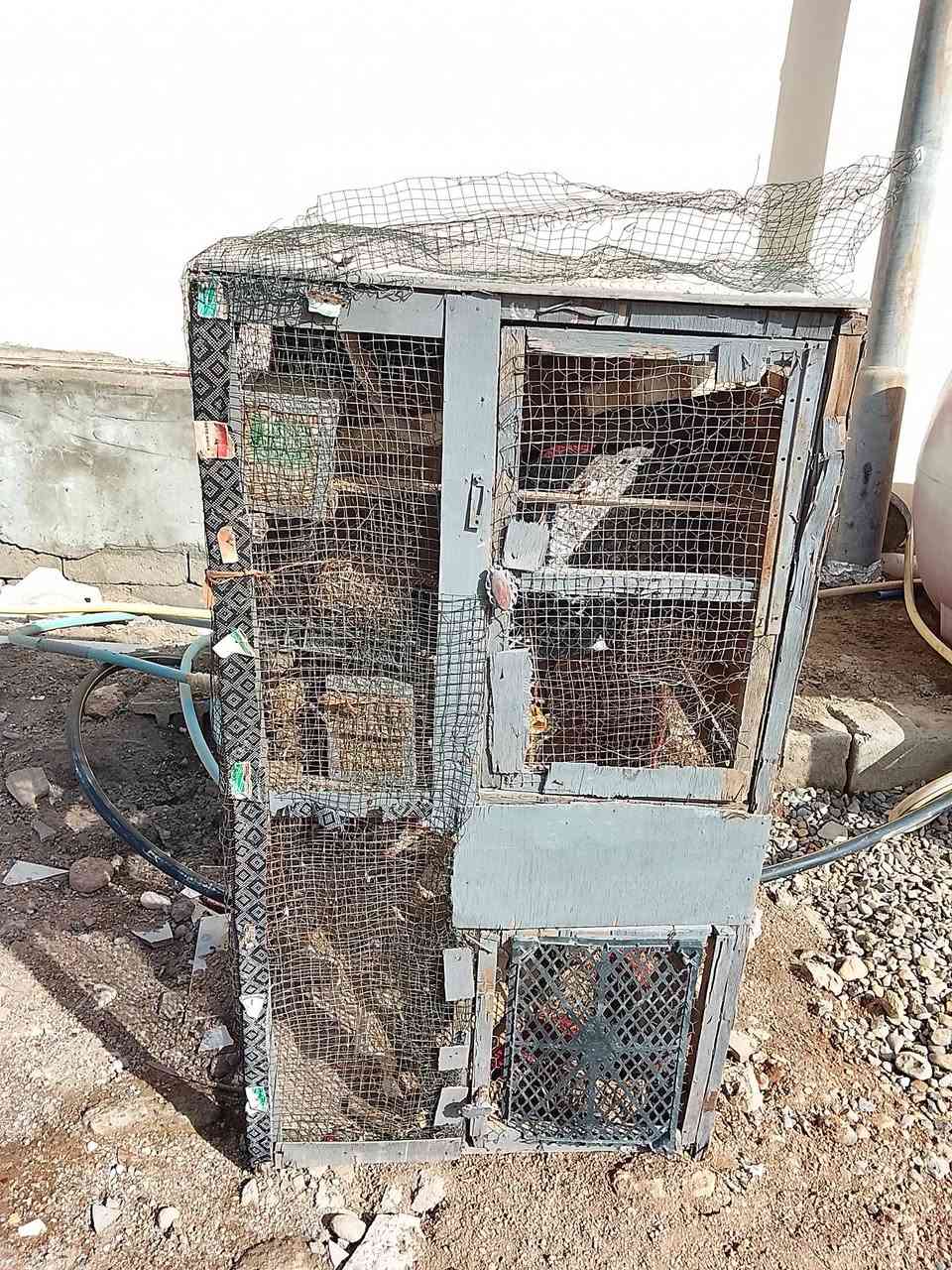 السلام عليكم قفص للبيع مالت طيور دجاج هم يرهم بسعر مناسب ***********
