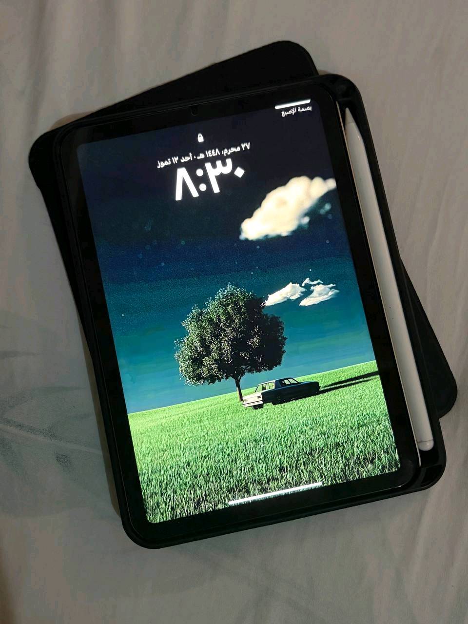 ايباد مني 6 نضيف مثل ما موضح ب الصوره ب 
450 وبيهه مجال ذاكره 256
 للتواصل على رقم.   ***********. او مراسلتي خاص واتساب