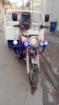 ستوتة فحل • موديل 2022 • اوراق كاملة